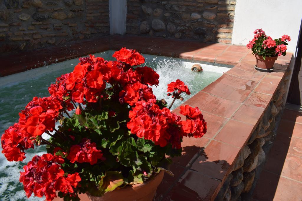 Carmen De Ramilla, Encantadora Guesthouse Con Piscina Soleada Гранада Экстерьер фото